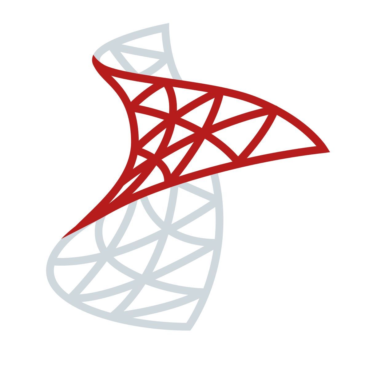 color style microsoft sql сервер icon