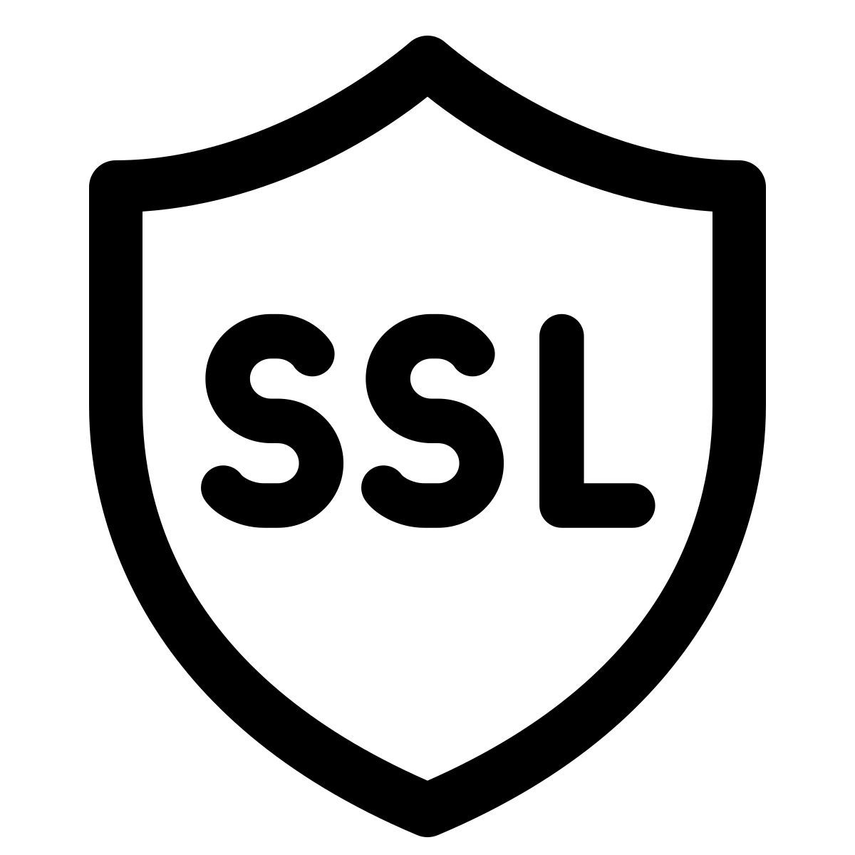 windows 11 outline style ssl icon