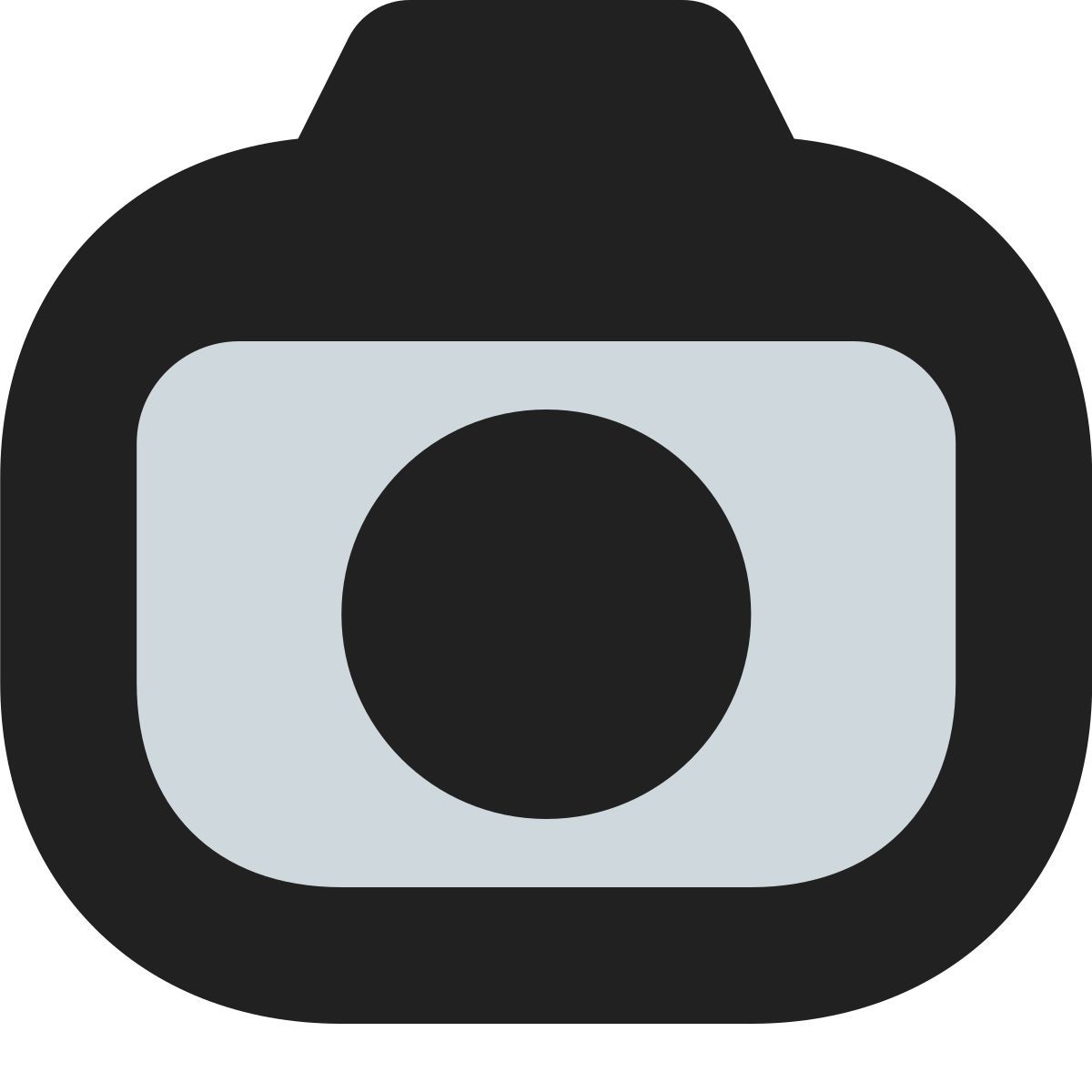tiny bold color style камера icon